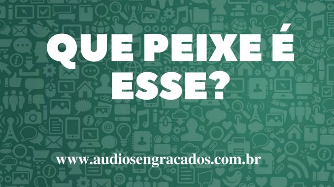 Áudios Engraçados - Que peixe é esse - Comprar peixe xilape